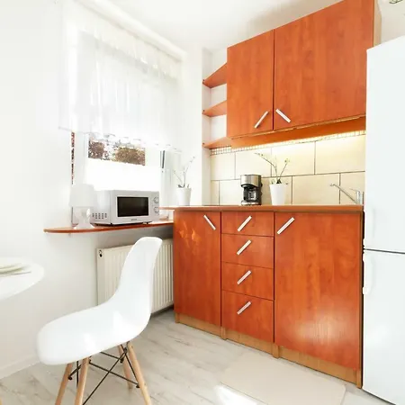 公寓 Dworska By Renters 格但斯克